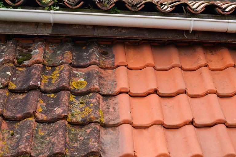 Nos conseils pour un démoussage de toiture réussi à Saverne
